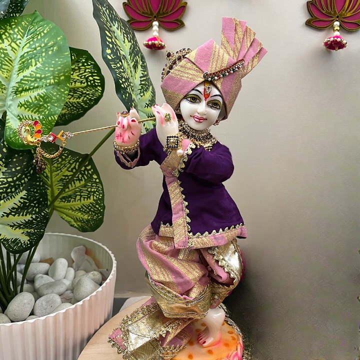 Krishna Ji Poshak - Royal Purple & Multishade Attire (Only Dress)